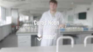 Curtis Noon Case Study [upl. by Gloria]