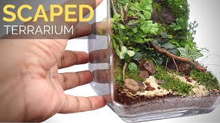 Learn to build a scaped moss wall terrarium [upl. by Veradis634]