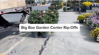 Don’t Let Big Box Garden Centers Rip You Off [upl. by Wendye481]