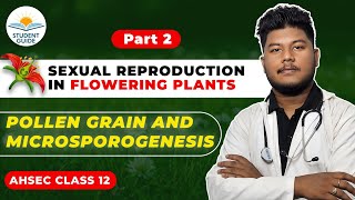 Sexual Reproduction in Flowering PlantsPollen Grain  Chapter 1  Biology HS Class 12  Ahsec [upl. by Woodring]