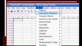 Introduction to SPSS part I [upl. by Heall]