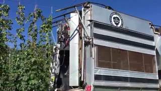 Elk Mountain Farms Hop Picker Harvesting Saaz Hops [upl. by Glaser785]