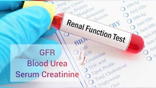 renal function tests explained  RFT blood Test rft [upl. by Tarazi]