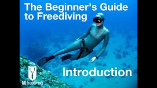 CARA MUDAH BELAJAR FREEDIVE  MENYELAM BEBAS [upl. by Farand]