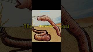 The Complete Lifecycle of a Sandworm Dune [upl. by Nylinej]