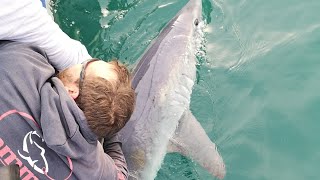 Shark fishing battle at Ilfracombe [upl. by Kiki]