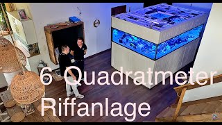 6 Quadratmeter 4000 Liter MEERWASSER Aquarium von Häppy mit Schlangenfilter [upl. by Aveer637]