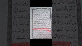 سورةالحجرات اسلامصبحي اكسبلور لايك راحةنفسية سورة الحجرات كاملة مكتوبه [upl. by Annoyi]