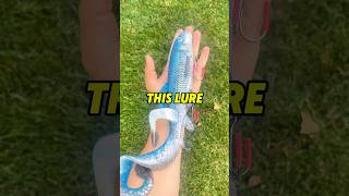 20 INCH FISHING LURE  MONSTER FISH 😱😱😱 fishing shorts outdoors [upl. by Nahgen]