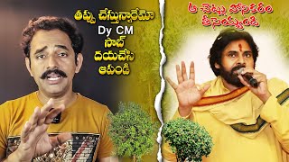 Conocarpus చెట్లు తొలగింపు సరైనదేనా  ఒక్కసారి ఆలోచించండి  Deputy CM Pawan Kalyan గారు  janasena [upl. by Katalin]