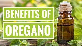 4 ScienceBased Health Benefits of Oregano [upl. by Stefanie]