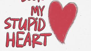 My Stupid Heart Lyric Video  Walk off the Earth [upl. by Candyce]