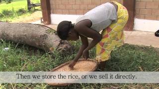 Sierra Leone Farming as a business  Part II [upl. by Eannaj]