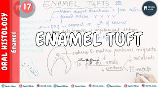 Enamel Tufts  Hypocalcified structure of enamel  Enamel  Dr Paridhi Agrawal [upl. by Steinman597]