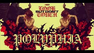 Polyphia  Look But Don’t Touch feat Lewis Grant Intro Cover [upl. by Hsenid]