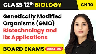 Genetically Modified Organisms GMO  Class 12 Biology Chapter 10  CBSE 202425 [upl. by Delores]