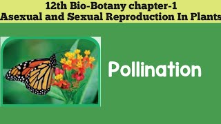 12th biobotany chapter1 Asexual And Sexual Reproduction In Plants POLLINATION 12th SCERT [upl. by Reteid]