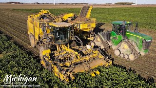 Ropa and John Deere 9620RX harvesting sugar beets in Saginaw County Michigan [upl. by Ottilie]