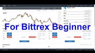 How to set Buy amp Sell orders on Bittrex [upl. by Ark]