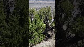 42324 hike near Zuni Salt Lake New Mexico climbing to the top of mountain ⛰️ 😎 wow [upl. by Eelesor]