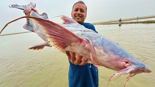 A Huge Fish Cooking in Village  Biggest Fish Cutting  Mubashir Saddique  Village Food Secrets [upl. by Daiz217]