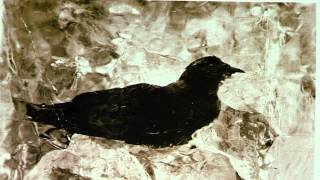 Tom Lehrer • “Poisoning Pigeons In The Park” • 1967 Reelin In The Years Archive [upl. by Niotna]