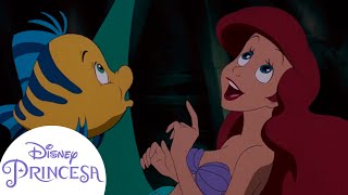 Os Melhores Momentos de Ariel e Seus Amigos  Disney Princesa [upl. by Sajovich195]