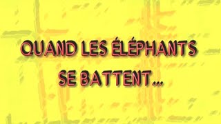 QUAND LES ELEPHANTS SE BATTENT EP23 BURKINA FASO [upl. by Eenobe]