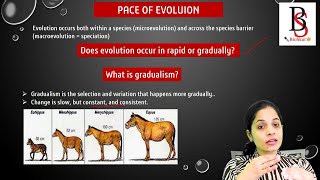 Patterns in Evolution updated [upl. by Enitselec428]