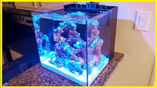 Step 2  Adding Water to the ZoanthidOnly Nano Reef [upl. by Falo410]