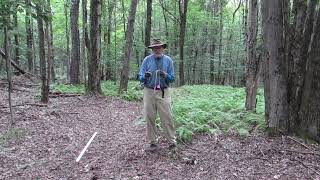 Secrets to Working With Dowsing RodsWith Tips and Exercises [upl. by Leerzej]