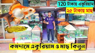 Aquarium price in Bangladesh 2023 🐟 Aquarium fish price in Bangladesh  Cheap Price Aquarium [upl. by Joe]