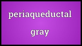 Periaqueductal gray Meaning [upl. by Brandise749]