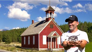 Old School House INFESTED with YELLOW JACKETS Wasp Nest Removals [upl. by Aihsa314]