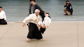 Excellent Aikido Doshu Moriteru Ueshiba  56th All Japan Aikido Demonstration 2018 [upl. by Farhi]