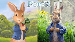 Rabbit Peter [upl. by Daniella605]