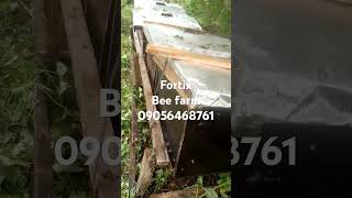 fortix bee farm in Ota Ogun State contact us to help you in setting up a farm like this [upl. by Yecaj]