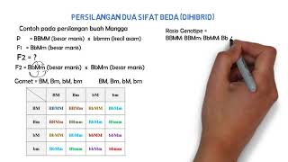 Tips Tutorial Genetika Kasus Dihibrid metode tabel [upl. by Esinev]