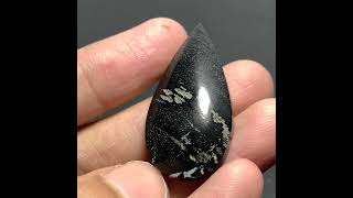 Black Petrified Palm Wood Cabochon 38x19x7mm [upl. by Annaoj]