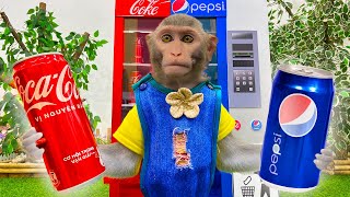 BIMBIM Baby Monkey Drinks Too Much Pepsi and Coca Cola  Best Video Monkey [upl. by Catlin]