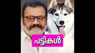 മലയാള നടന്മാരുടെ പട്ടികൾ😱വില കേട്ടാൽ കിളിപോകും😵DOGS OF MALAYALAM ACTORS [upl. by Ejroj]