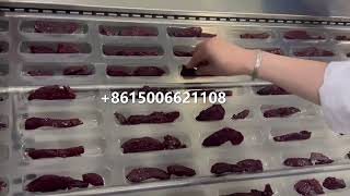 Pet food thermoforming vacuum packaging machine [upl. by Glaab]