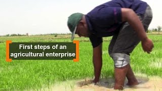 Mali First steps of an agricultural enterprise [upl. by Nevuer]