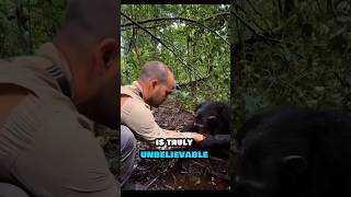 Chimpanzee washes a mans hand [upl. by Aleirbag]