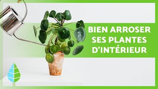 Comment ARROSER ses PLANTES dintérieur 🌸💧  Astuces dEXPERTS pour ne pas TUER vos PLANTES ⚠️ [upl. by Kurr]