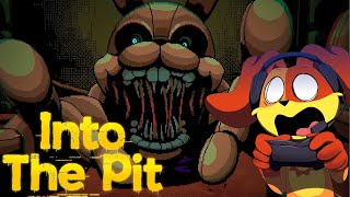 WHAT IS HAPPENING  DogDay Plays FNAF INTO THE PIT Part 1 [upl. by Alehc93]