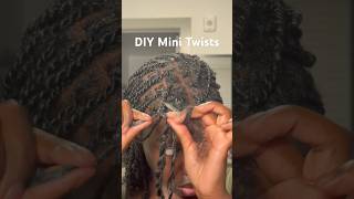 DIY mini twists with hair added [upl. by Elora650]