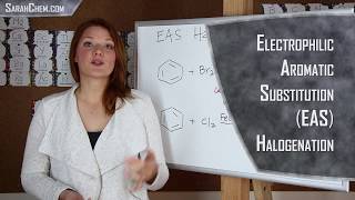 Electrophilic Aromatic Substitution  Halogenation [upl. by Aihsad]