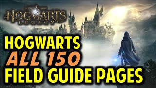 Hogwarts All 150 Field Guide Pages Locations  Hogwarts Legacy [upl. by Norty]