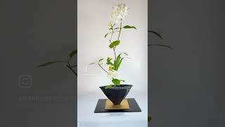 Ikenobo Ikebana exhibition at Enso in 13th July 24 and student design [upl. by Elias]